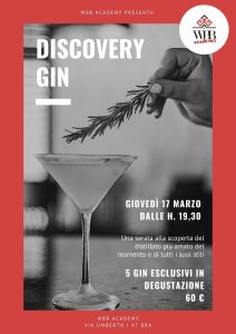 DISCOVERY GIN